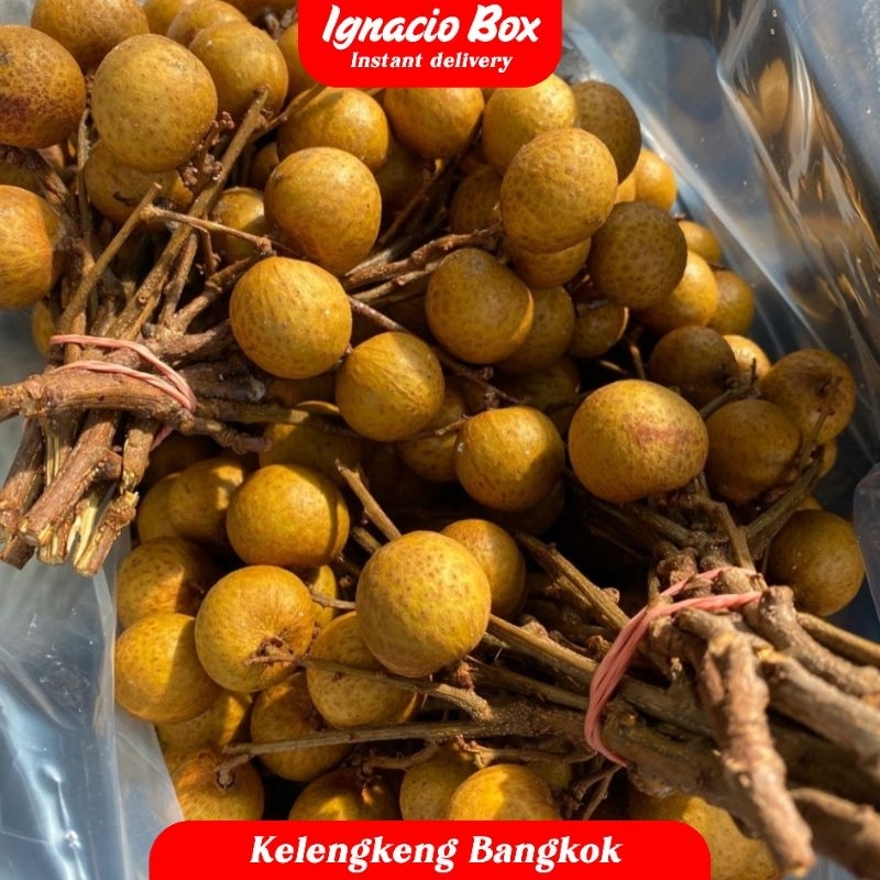 

PROMO Kelengkeng 500gr/Pack Fresh Manis IgnacioBox