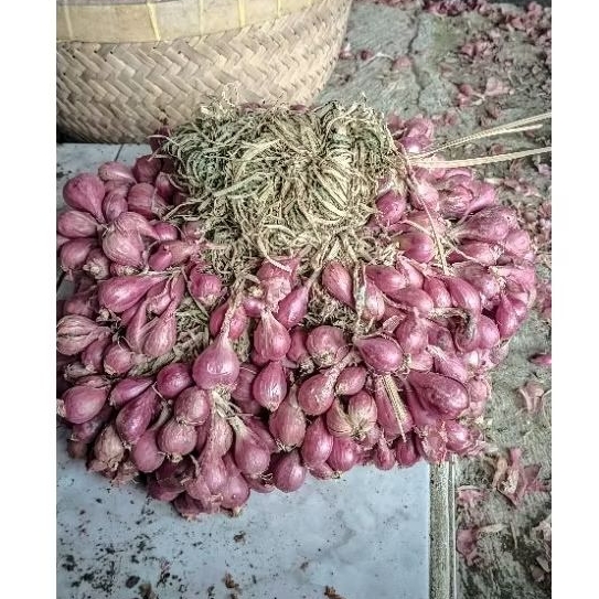 

BAWANG MERAH BREBES KUALITAS SUPER 1KG/500 GRAM