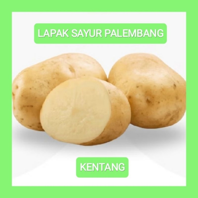 

KENTANG