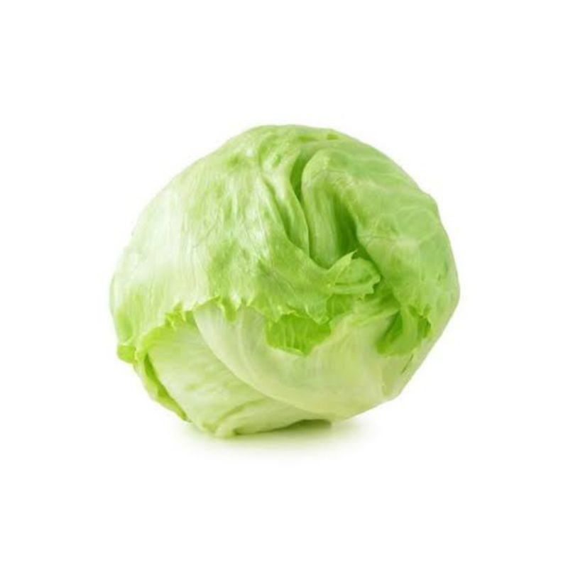 

Iceberg, Lettuce 500gr, Head Lettuce