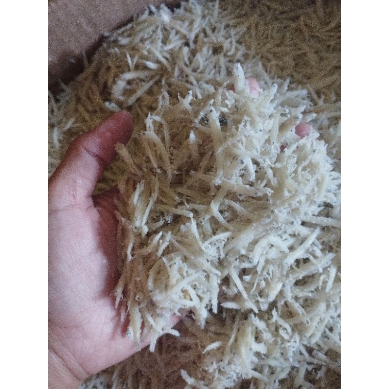 

teri nasi asin berat bersih 1 kg super A bagus