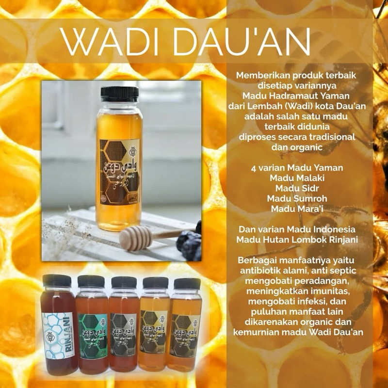 Madu ASLI  Hadramaut Yaman