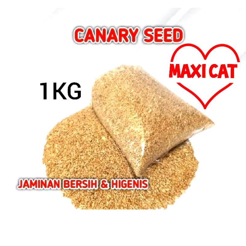 KENARI SEED 1KG MAKANAN BURUNG KENARI CANARY SEED KILOAN KENARI SEED KILOAN BERSIH