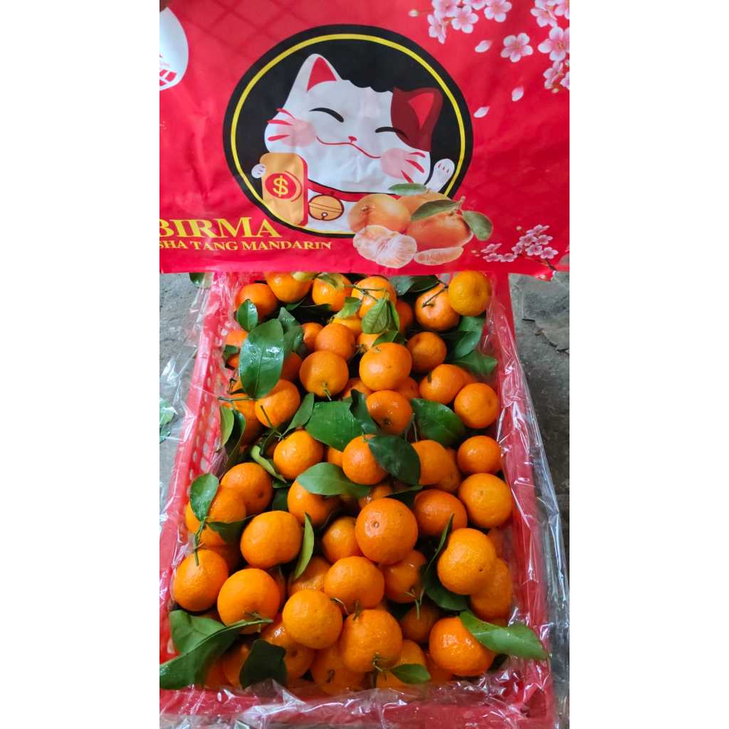 

Jeruk Santang Madu Daun BIRMA Shantang Orange Import 1 kg