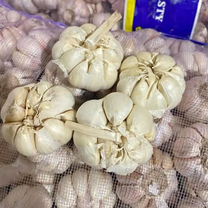 

Bawang Putih Bumbu Masak Rempah Termurah 150gr / 250gr / 500gr