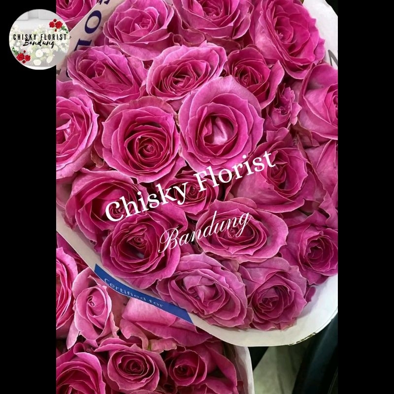 TOKO BUNGA BANDUNG / BUNGA MAWAR PINK CANDY