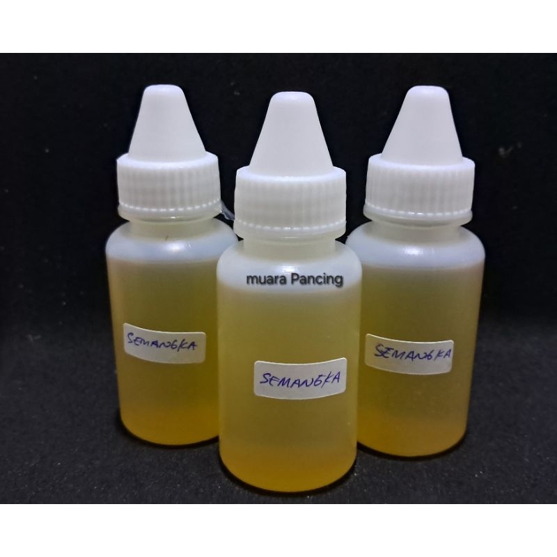 Essen biang semangka - campuran umpan dan bandul pancing