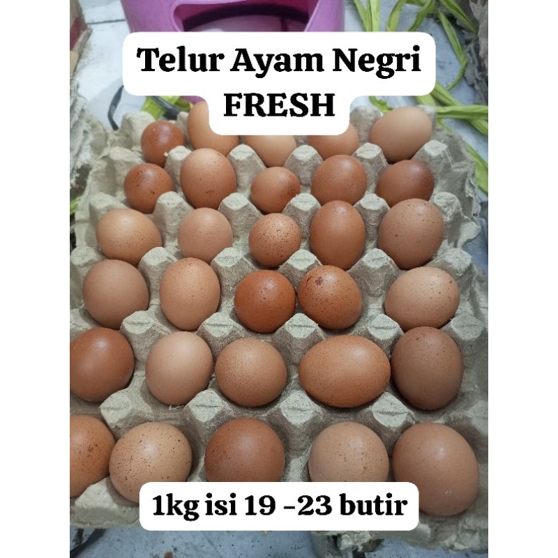 

Telur Fresh Kecil Isi 19-23/KG