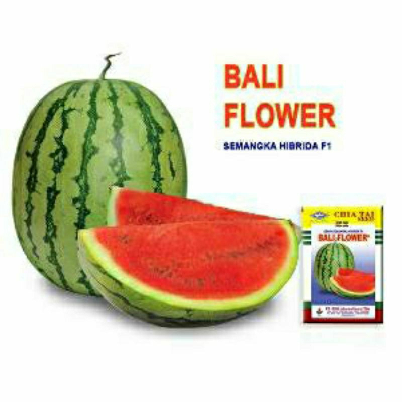 COD 50 BENIH BIJI SEMANGKA SUPER