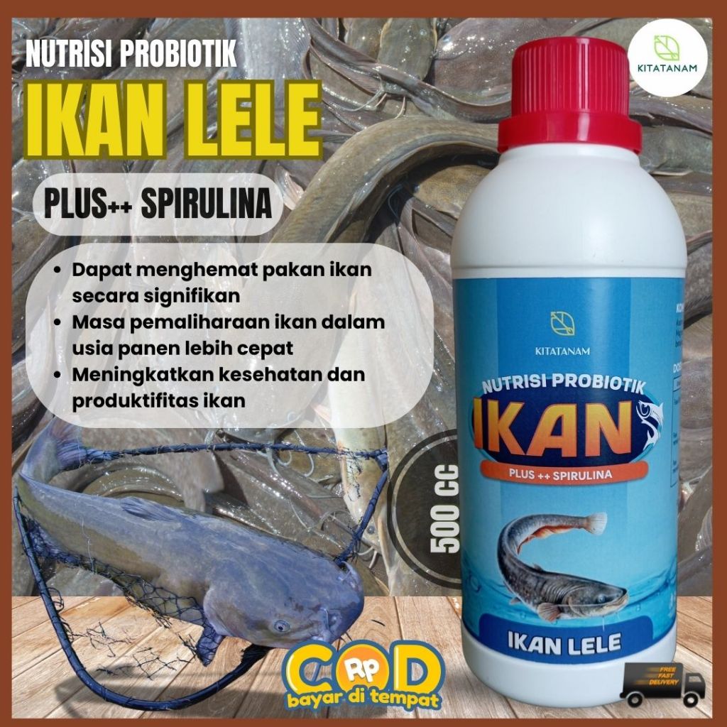 Vitamin Ikan Lele, Nutrisi Probiotik Ikan Lele, Kitatanam