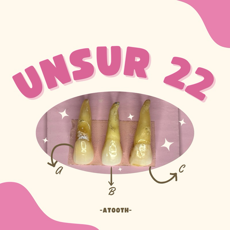 Unsur Gigi praktikum 22