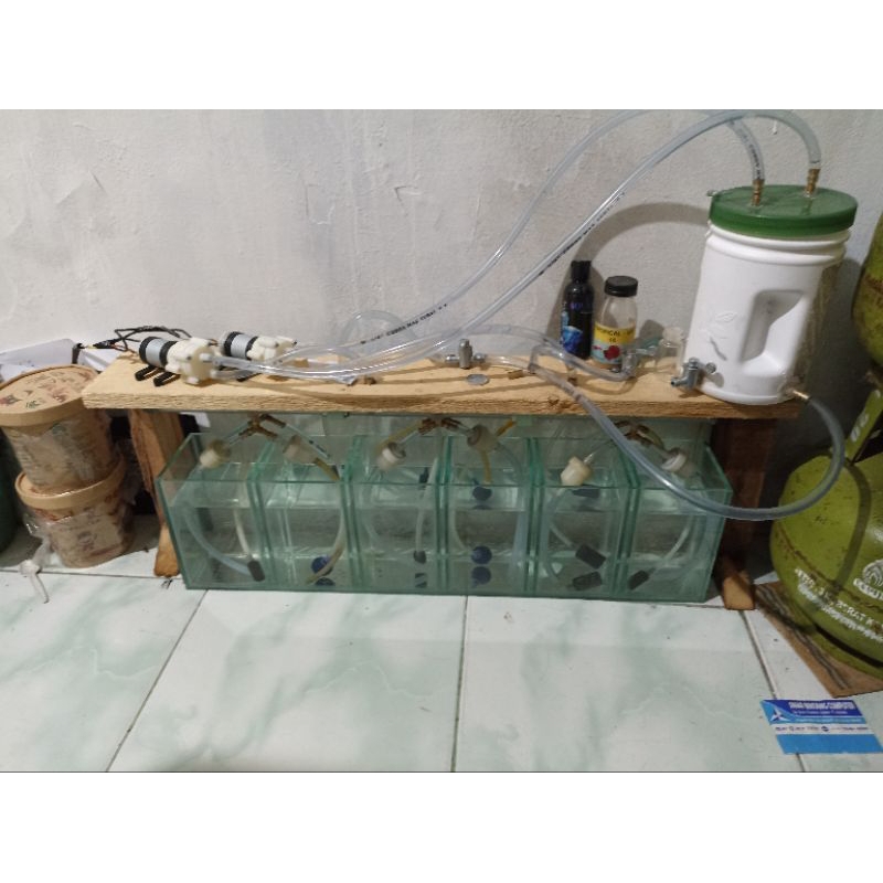 aquarium kaca soliter set less maintenance.