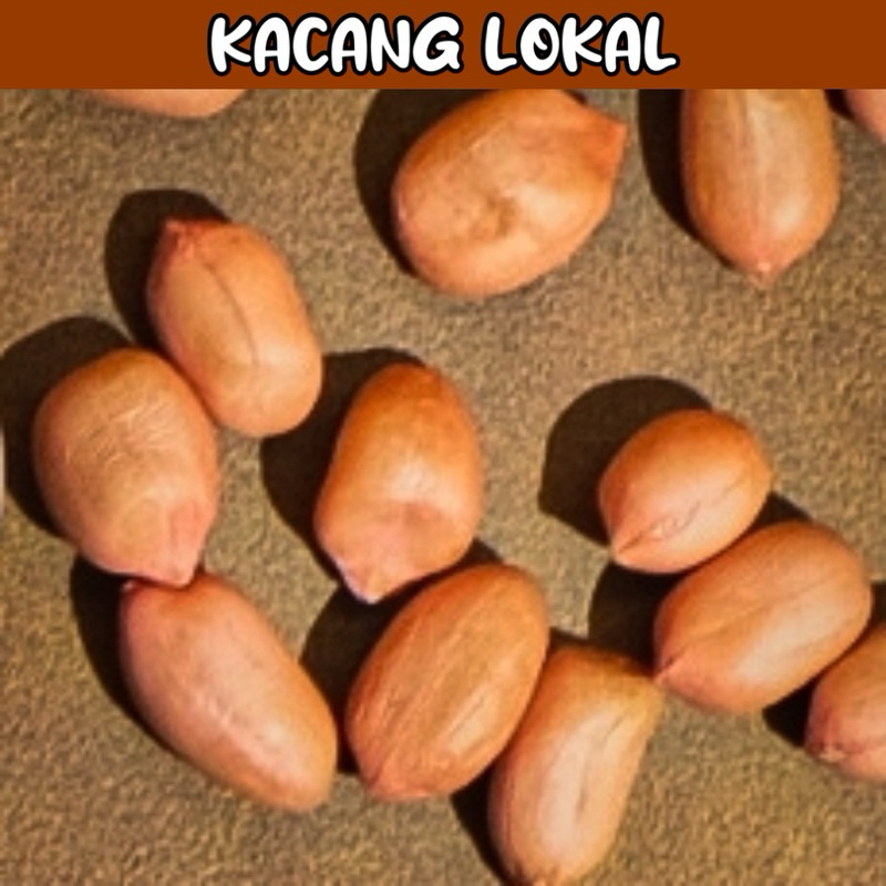 

Kacang lokal Blitar asli!