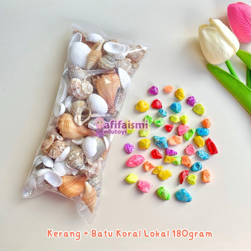 [ 200gr ] Cangkang Kerang Campur dan Pasir Pantai untuk Kerajinan & Prakarya Sekolah