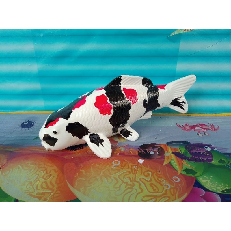 miniatur ikan koi ukuran 60 cm