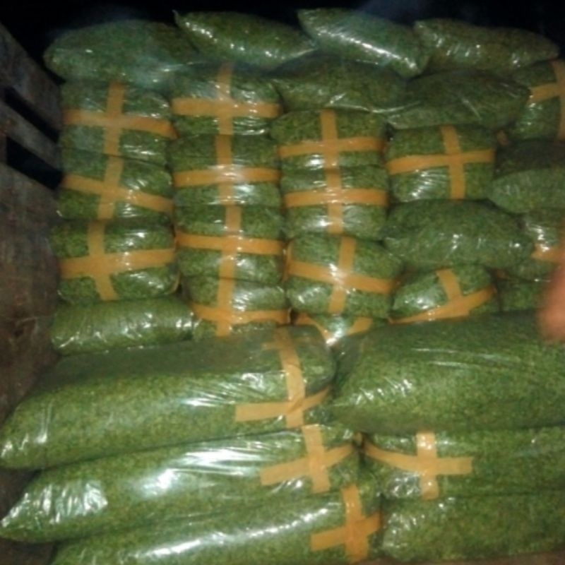 

DAUN KELOR KERING GROSIR BISA DI JUAL LAGI