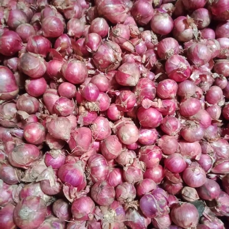 

1kg bawang merah besar lokal