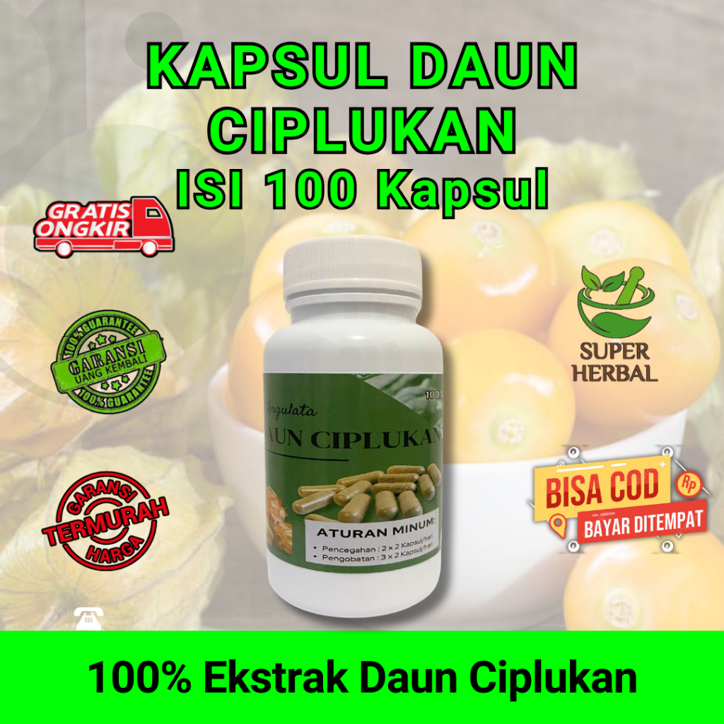 Kapsul Daun Ciplukan Obat Stroke Ampuh Terbukti Herbal Suplemen Untuk Terapi Saraf dan Otak