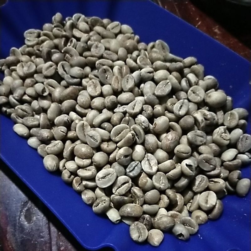 

Biji Kopi Robusta Temanggung