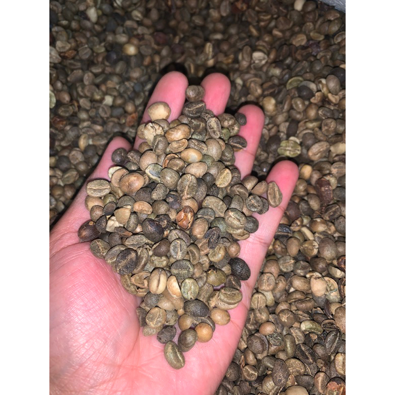 

KOPI JAWA/BIJI KOPI/KOPI MEDANG/KOPI ROBUSTA