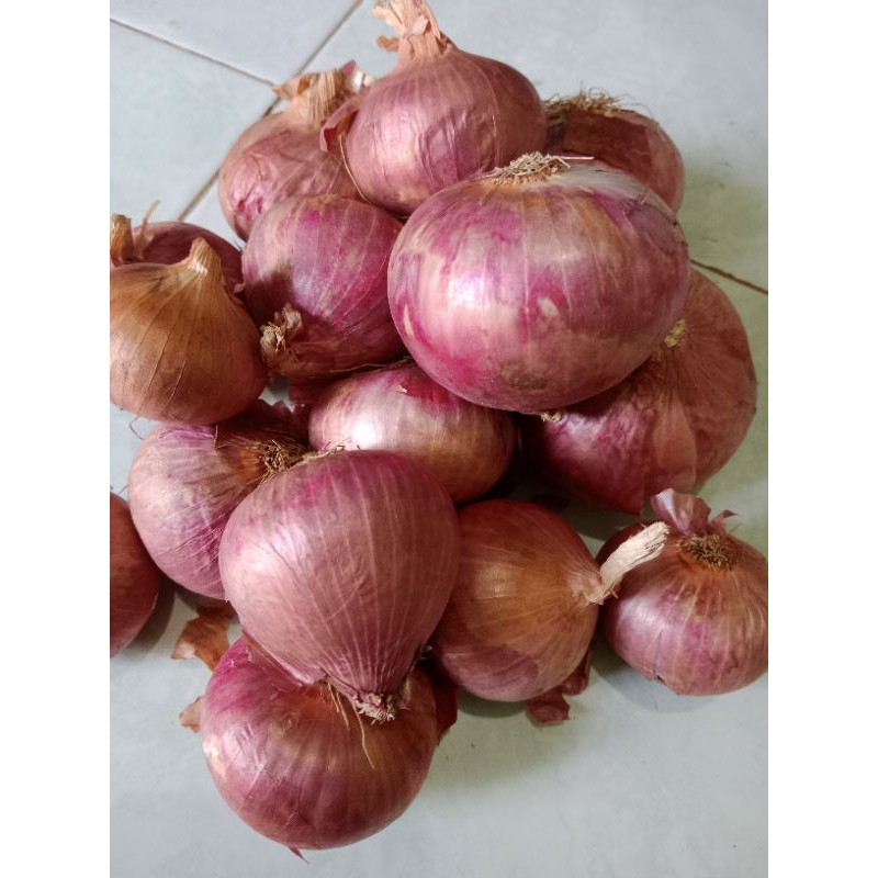 

BAWANG MERAH INDIA 1kg