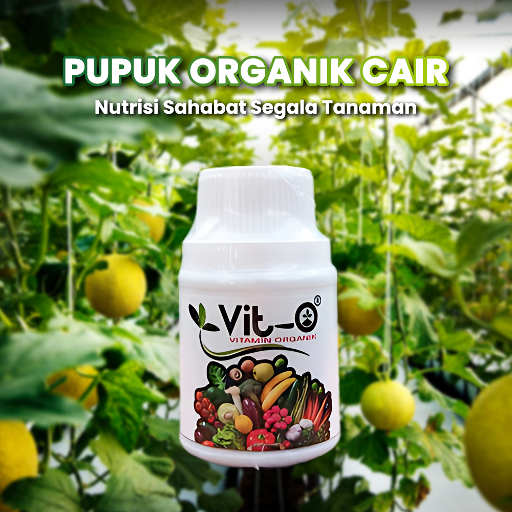 Pupuk  Pertumbuhan Nutrisi Tanaman Vit O