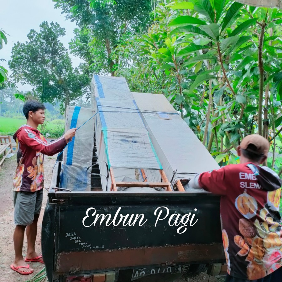 

Peking kotak kayu 3 meter