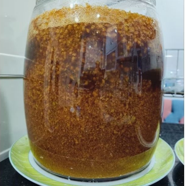 Bibit Teratai Salju Bibit Teratai Salju kualitas super herbal 500 g