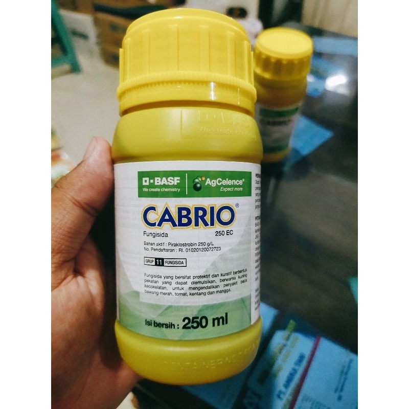FUNGISIDA CABRIO CAIR BASF ORIGINAL 250ML