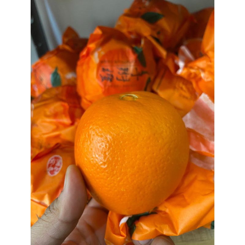 

Sunkist segar - Sabuga Market
