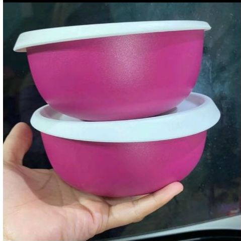BOWL TUPPERWARE 2PCS TUTUP KEDAP/BEKAL ANAK BOWL TANPA SEKAT KOTAK MAKAN TUPPERWARE