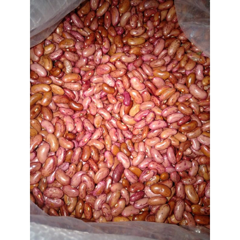 

kacang merah 1000 gram