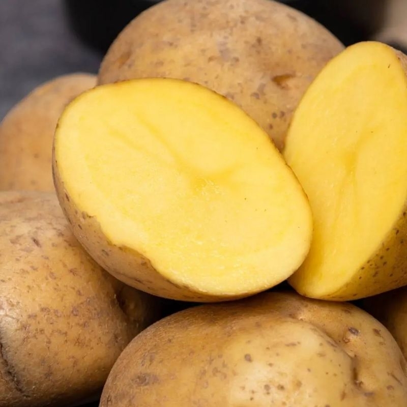 

KENTANG 500GR SAYUR PERKEDEL KENTANG GORENG DLL