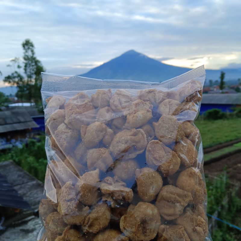 

Siomay batagor isi 100