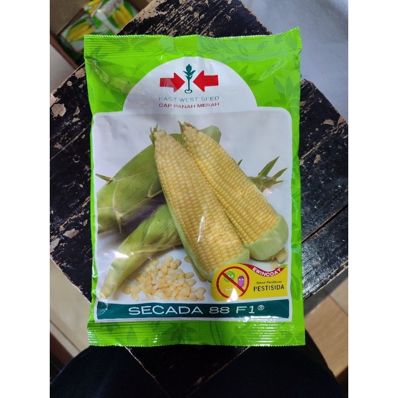 bibit jagung panah merah scada 50g original