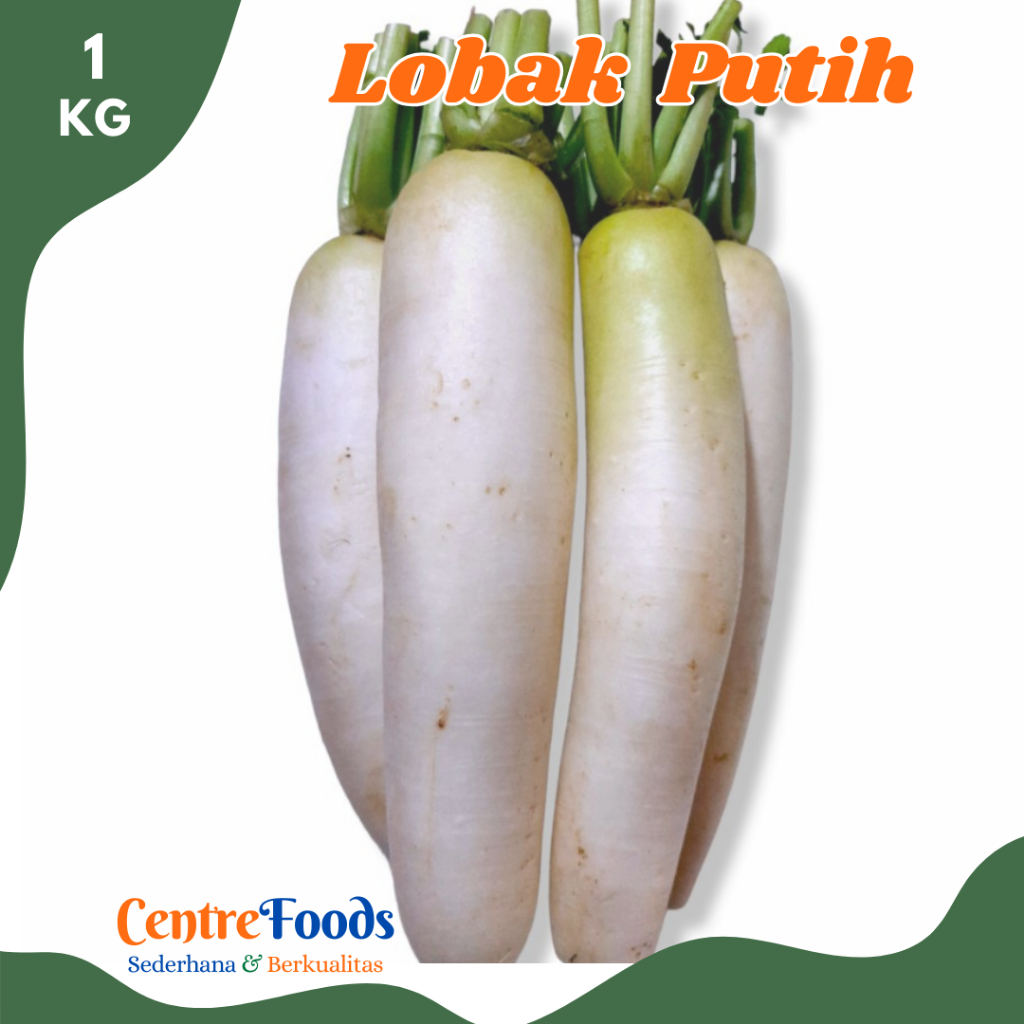 

LOBAK PUTIH Daikon - White Radish Fresh | 1.000gr [ Harga Per KG ]