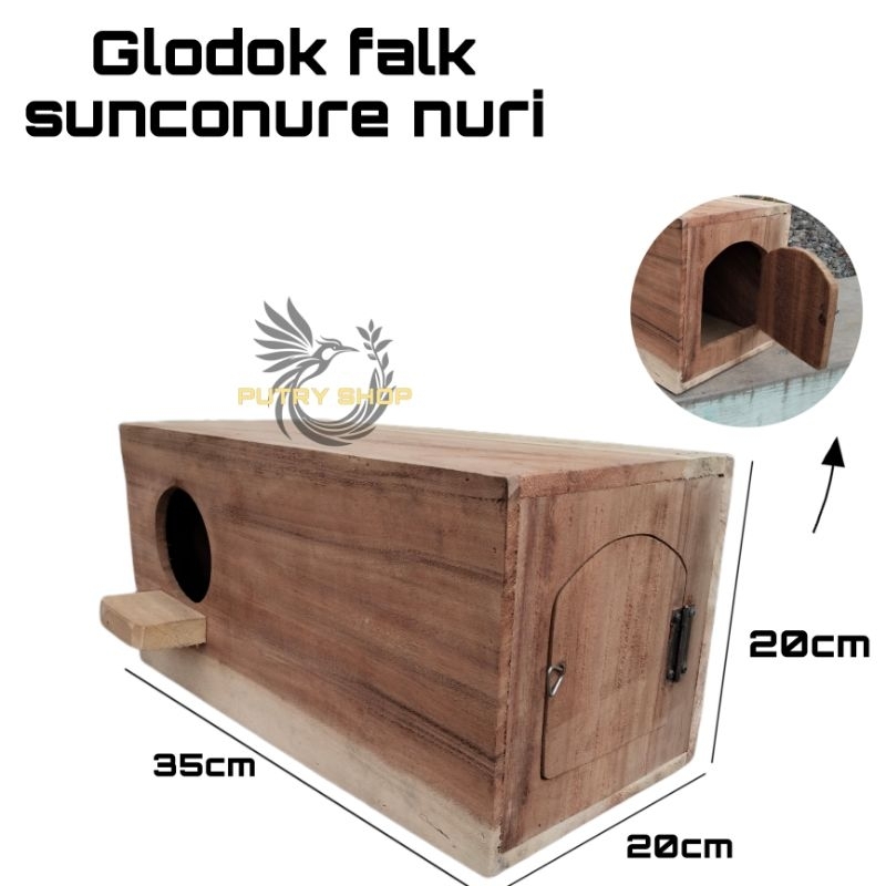 Glodok jalak falk