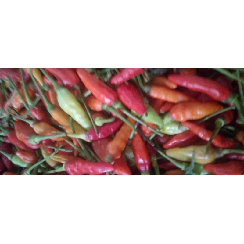 

lombok kecil per 500gr