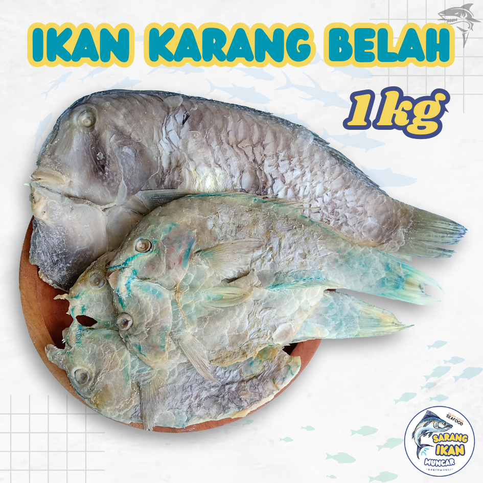 

IKAN ASIN KARANG BELAH / IKAN KELING MOGO / KAKATUA ASIN 1 KG