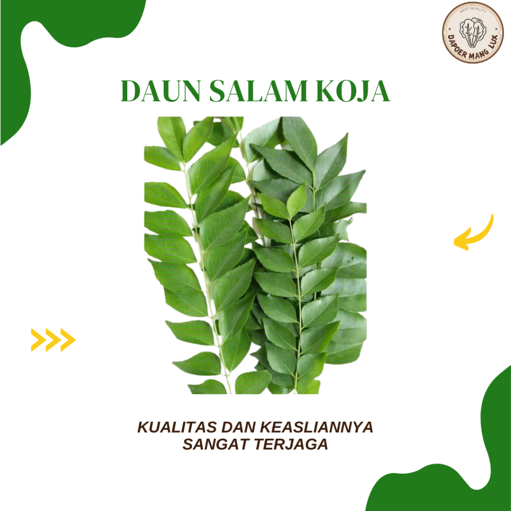 

EKSTRAK SALAM KOJA BEST SELLER