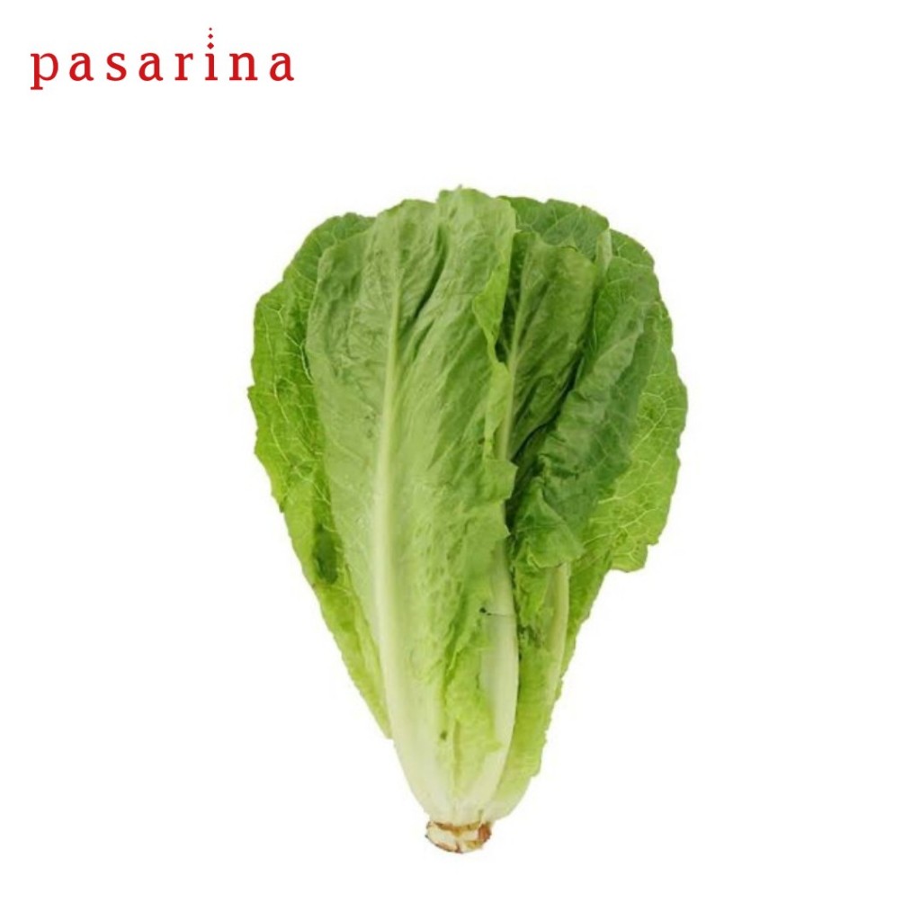 

Romaine Lettuce Fresh each per 200 gram