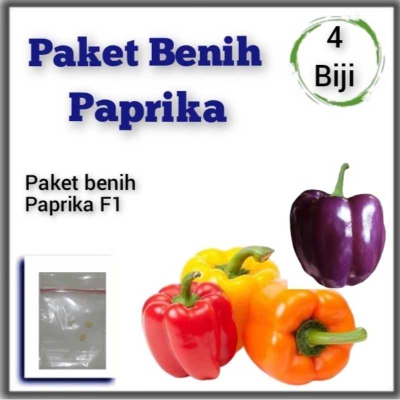 Paket Benih Paprika Bibit Tanaman Cabai Pedas Paprika