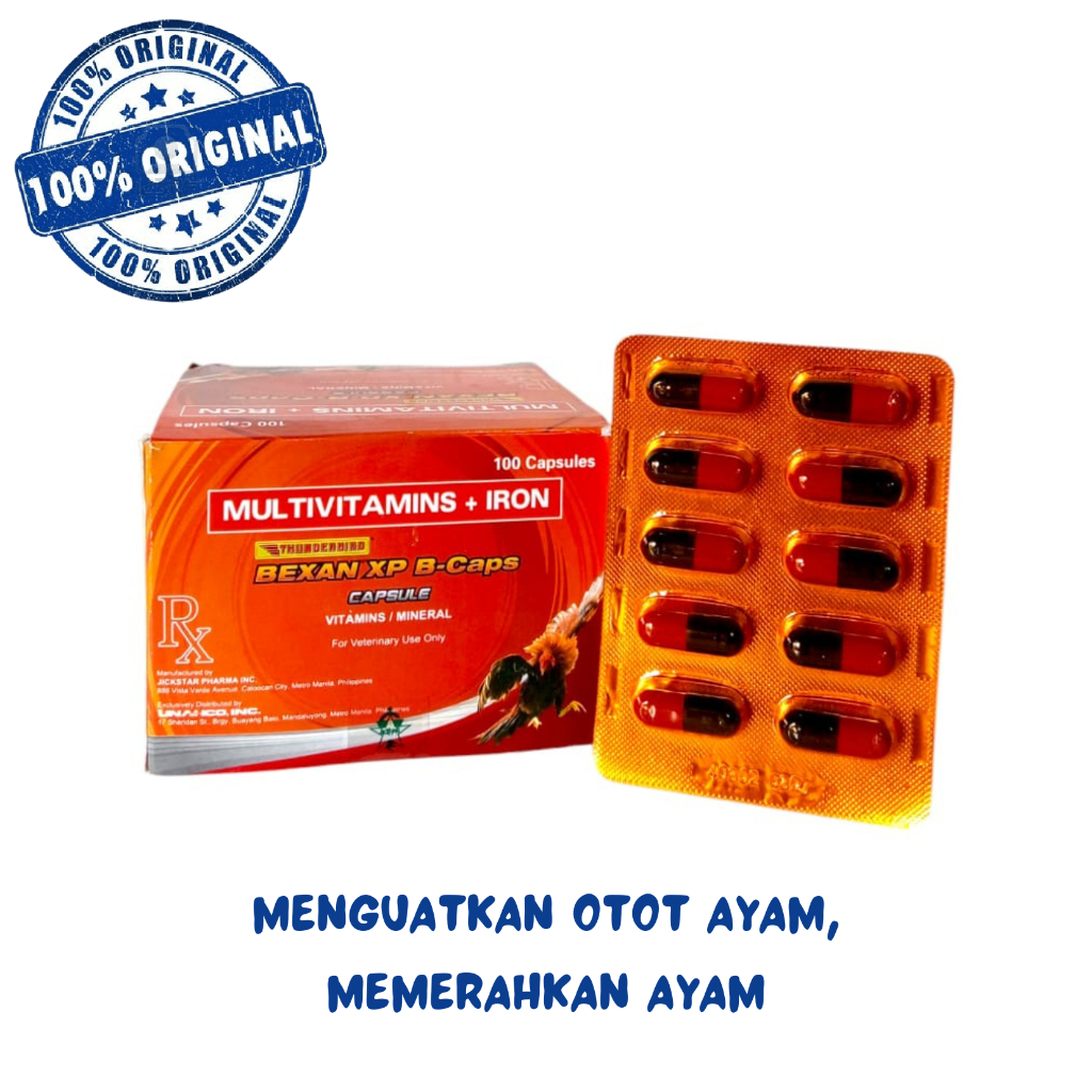 BEXAN XP KAPSUL (1 STRIP) - Multivitamin Obat Ayam