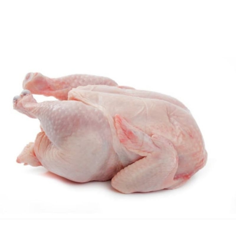 

Ayam Boiler/ Ayam potong (1 ekor)