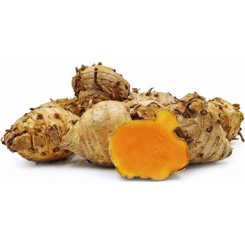 

TEMULAWAK / KONENG GEUDE HERBAL FRES MURAH 5KG