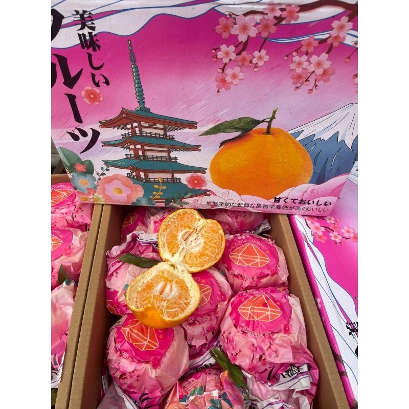 

Jeruk Dekopon hampers 4kg