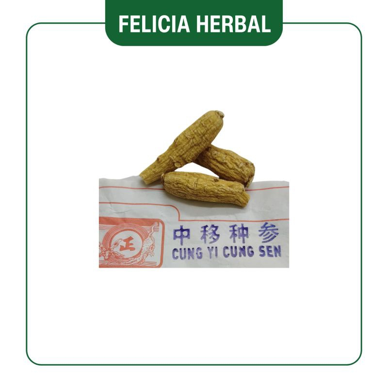 

Ginseng Amerika (Sedang) Utuh/ Yi Zhong Sem (Sedang) Utuh/ 50gr/ 100gr