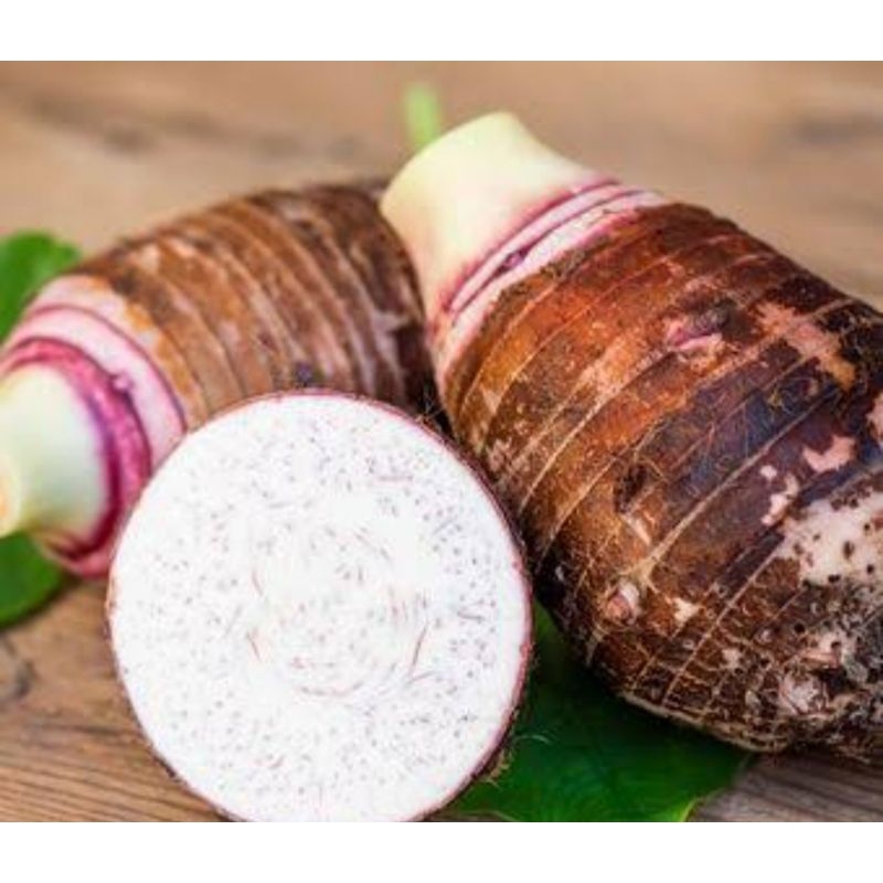 Umbi talas Pratama talas bogor termurah per 1 kg