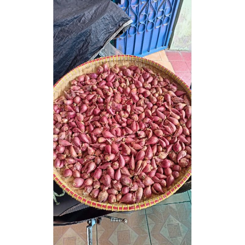 

bawang merah