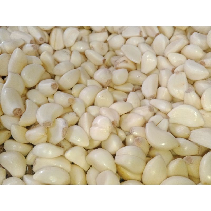 

Bawang putih kupas fresh